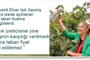 Bu Fiyat Tam Bir Hayal Kırıklığı
